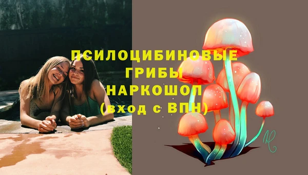 дмт Аркадак