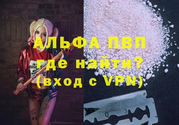 стафф Армянск