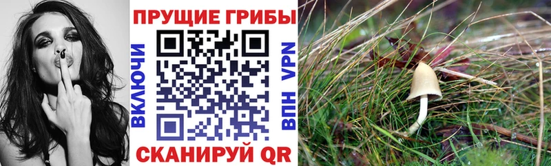 Галлюциногенные грибы мицелий  Можга 