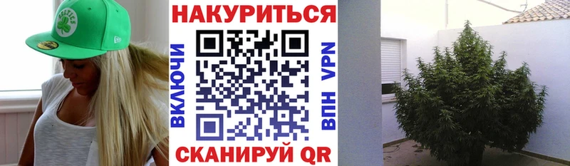 Конопля Ganja blacksprut tor Можга